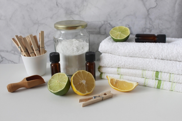 Natural alternatives to clean and disinfect your home